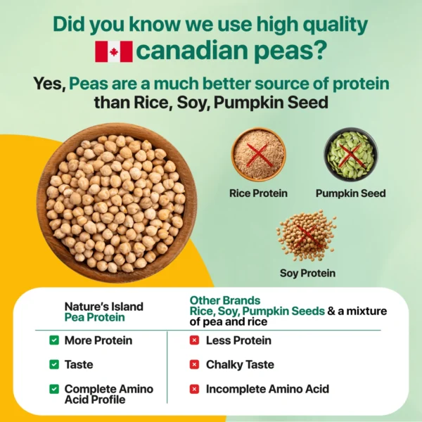 Pea Protein Isolate - Image 3