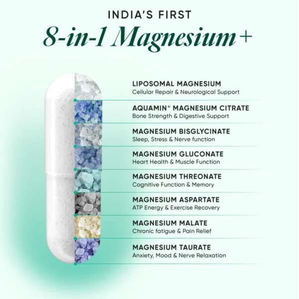 Ultra Strength Magnesium+ - Image 10