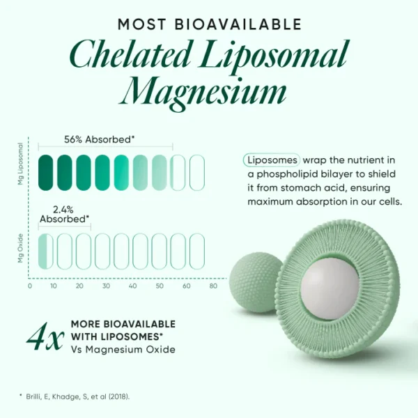 Ultra Strength Magnesium+ - Image 9