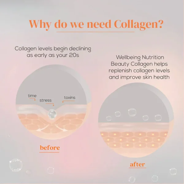 Beauty Korean Marine Collagen Peptides Mango Peach Flavour - Image 9