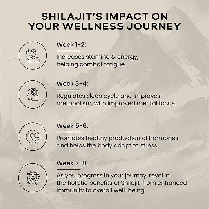 Shilajit Resin - Image 5