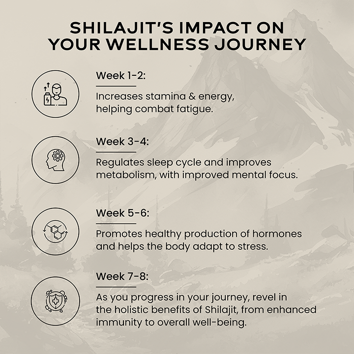 Shilajit Gold - Image 6