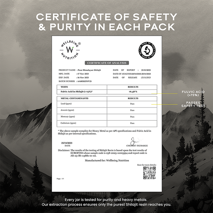 Shilajit Resin - Image 4