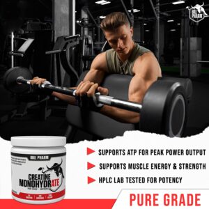 Micronized Creatine Monohydrate Powder