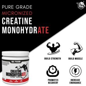 Micronized Creatine Monohydrate Powder