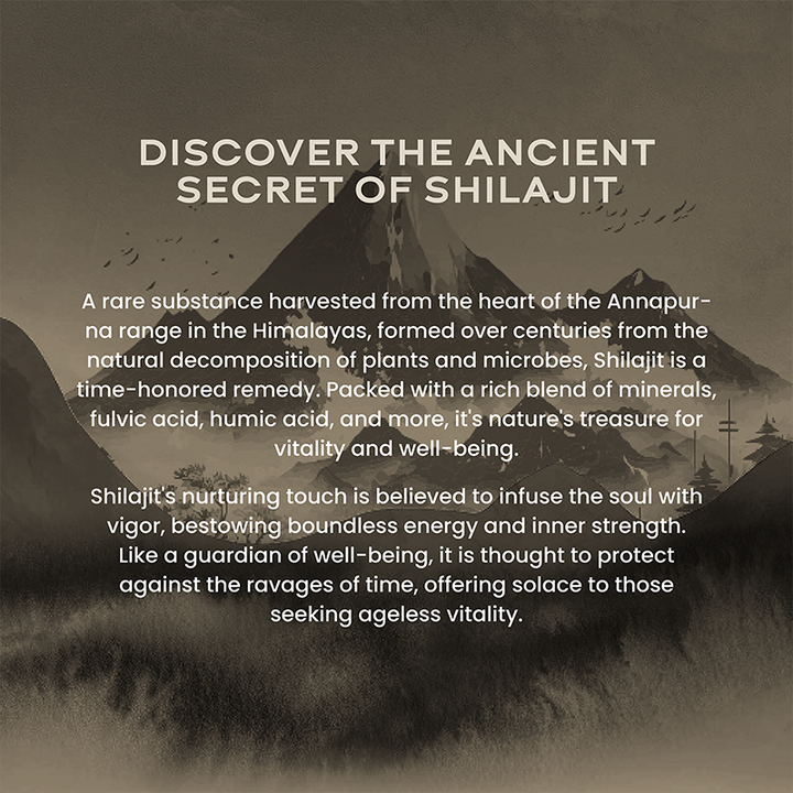 Shilajit Resin - Image 3