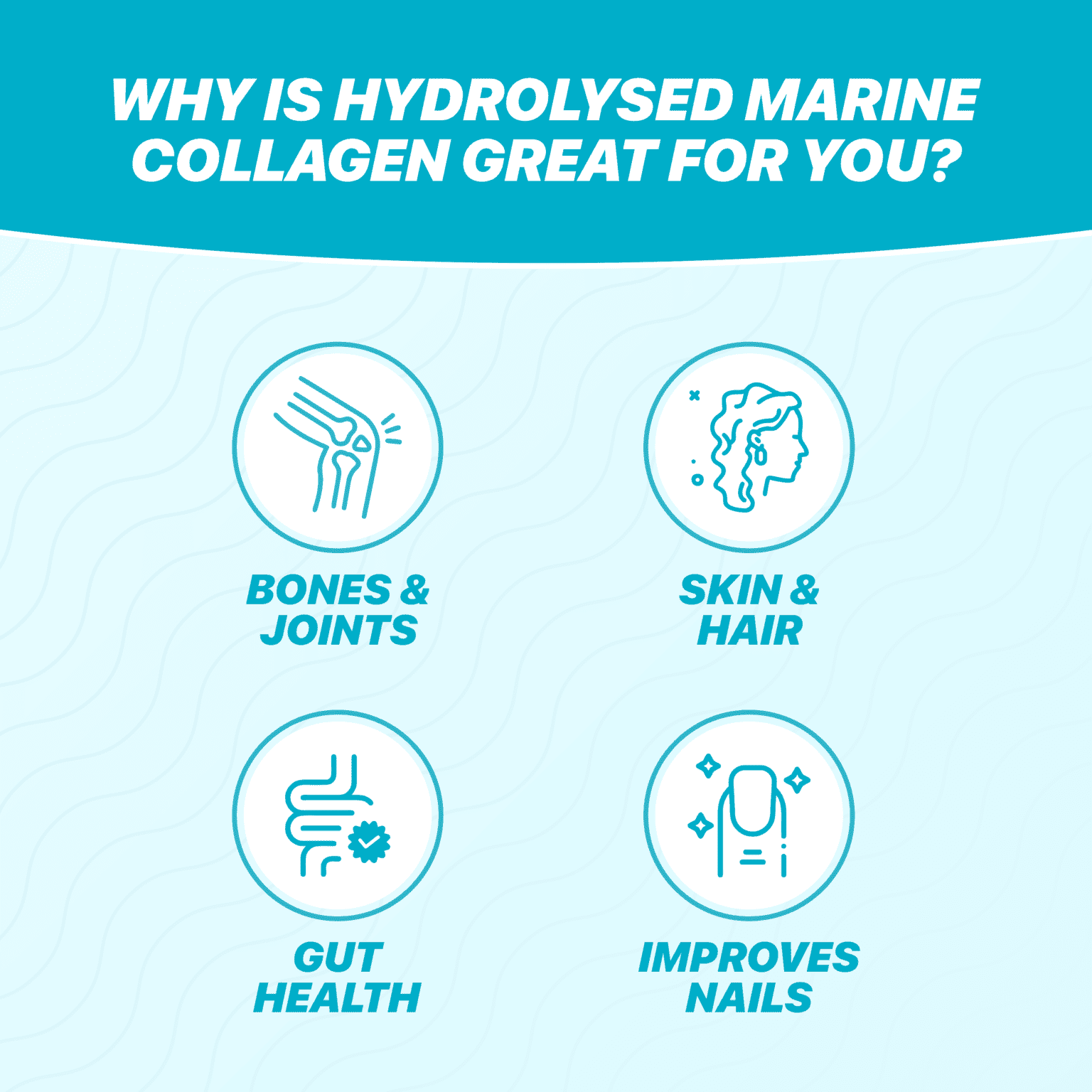Hydrolysed Marine Collagen - Image 5