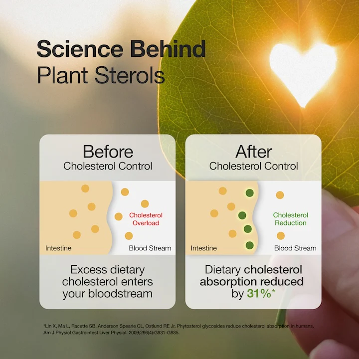 Cholesterol Control Slow - Image 8