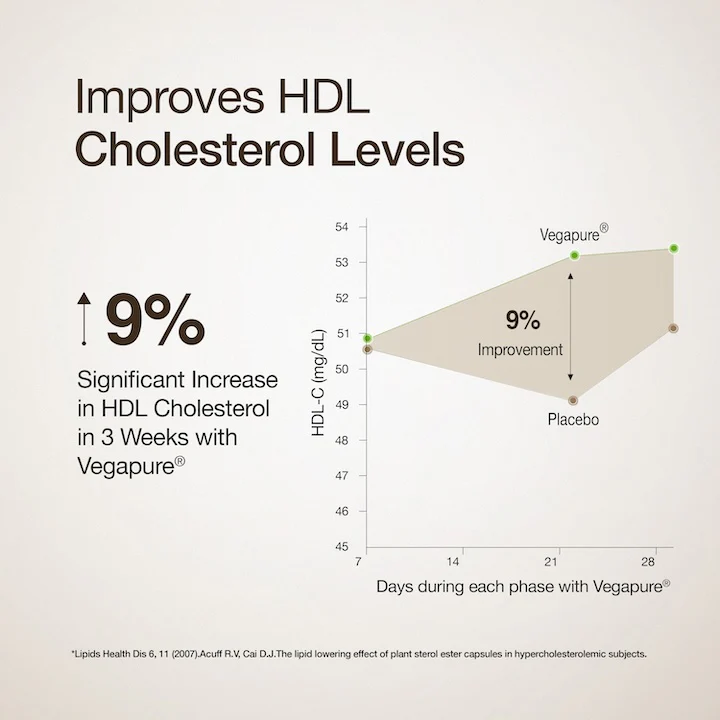 Cholesterol Control Slow - Image 6