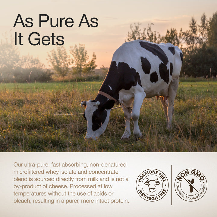 Whey Protein Isolate 26g | 1kg | 4B CFU Probiotics | Bourbon Vanilla - Image 9