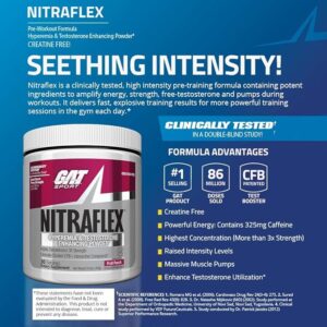 GAT Sport Nitraflex Fruit Punch Flavour powder -Pack of 30 Servings
