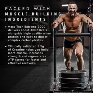 MuscleTech Veg Mass Gainer-Triple Chocolate Brownie (3Kg Powder(10 Servings)-MassTech Extreme 2000 High Protein Food For Weight Gainer (30g Protein, 1073 Kcal,1.5g Creatine & Added Vitamin,Minerals)