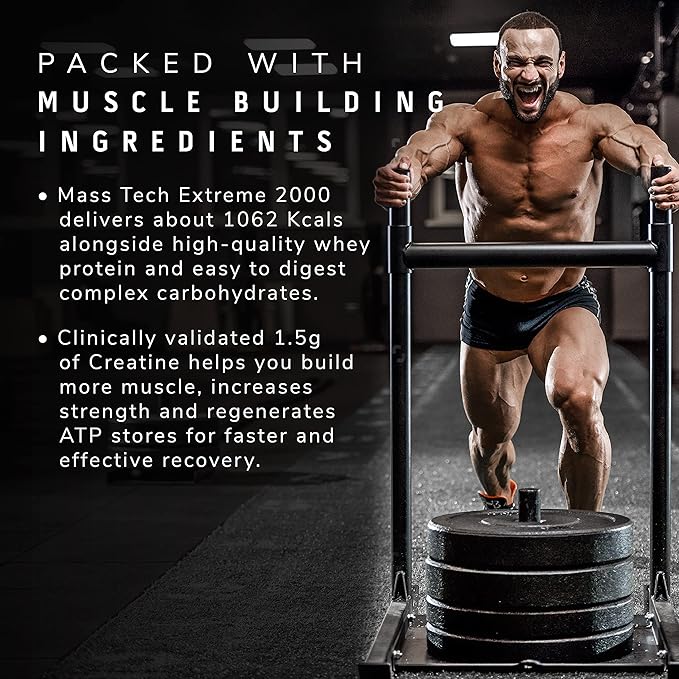 MuscleTech Veg Mass Gainer-Triple Chocolate Brownie (3Kg Powder(10 Servings)-MassTech Extreme 2000 High Protein Food For Weight Gainer (30g Protein, 1073 Kcal,1.5g Creatine & Added Vitamin,Minerals) - Image 3